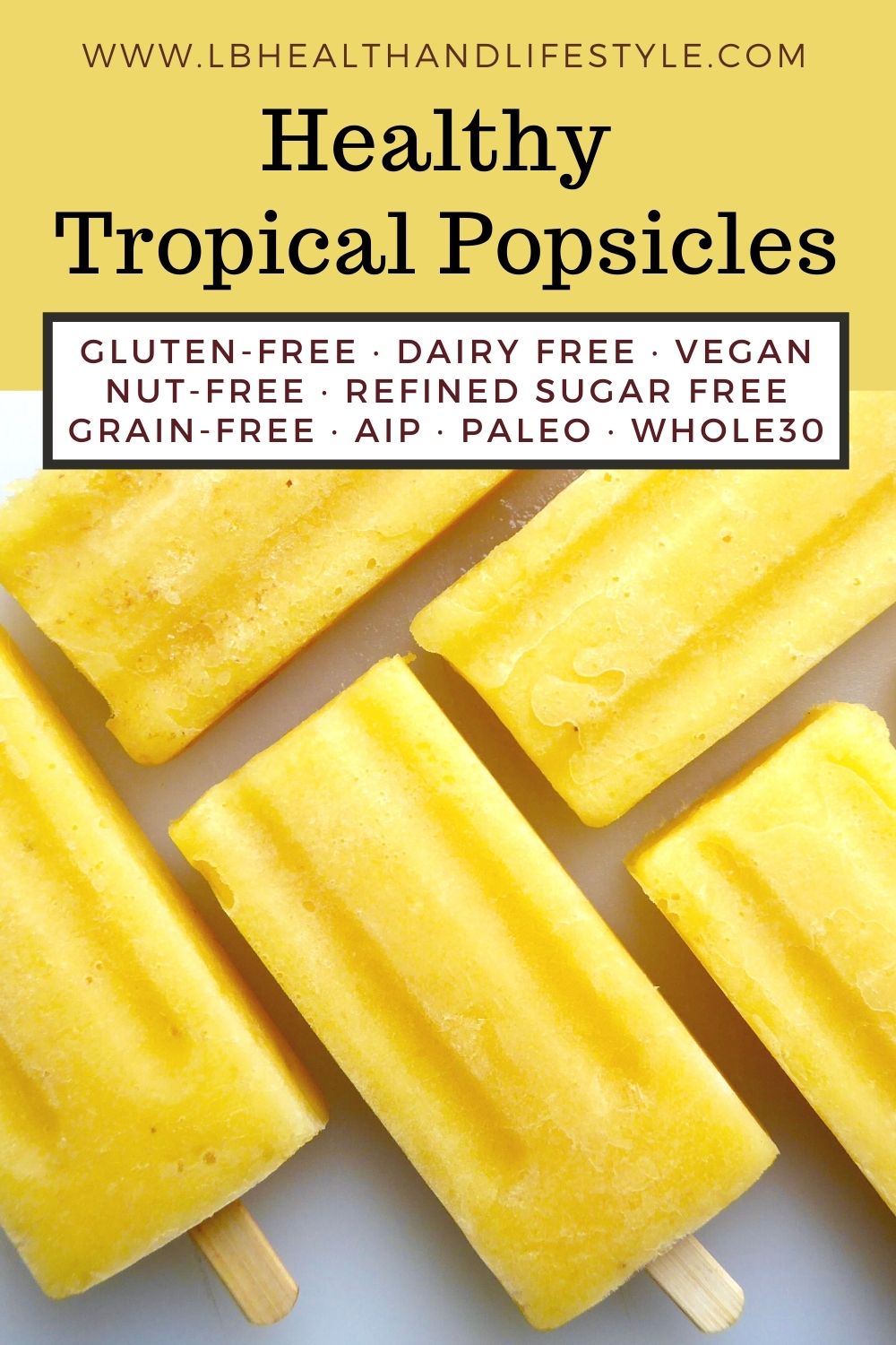 Healthy Popsicles/Ice Lollies Tropical Fruit LB Health & Lifestyle