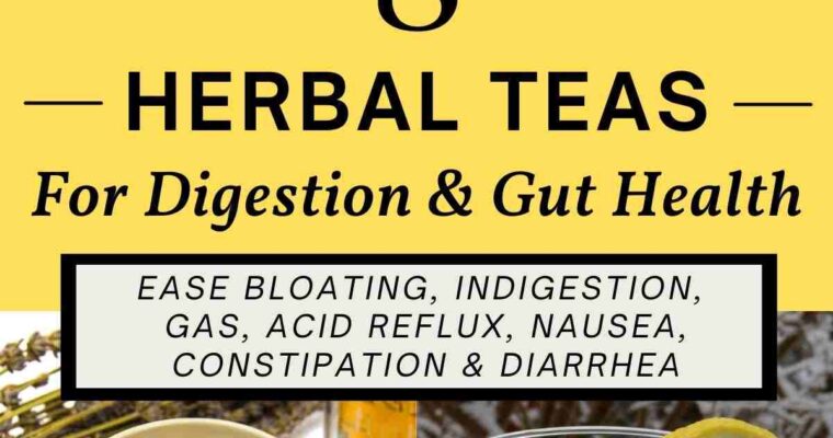 Best Teas For Digestion & Gut Health