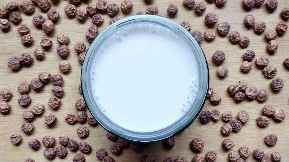 tiger nut milk top view surrounded by tiger nuts