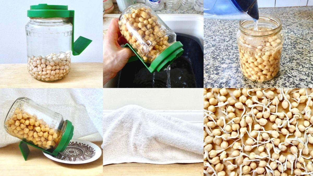 step by step process of how to sprout chickpeas at home in a jar