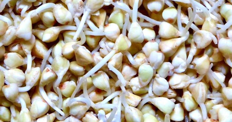 How To Sprout Buckwheat (+Benefits & Nutrition)