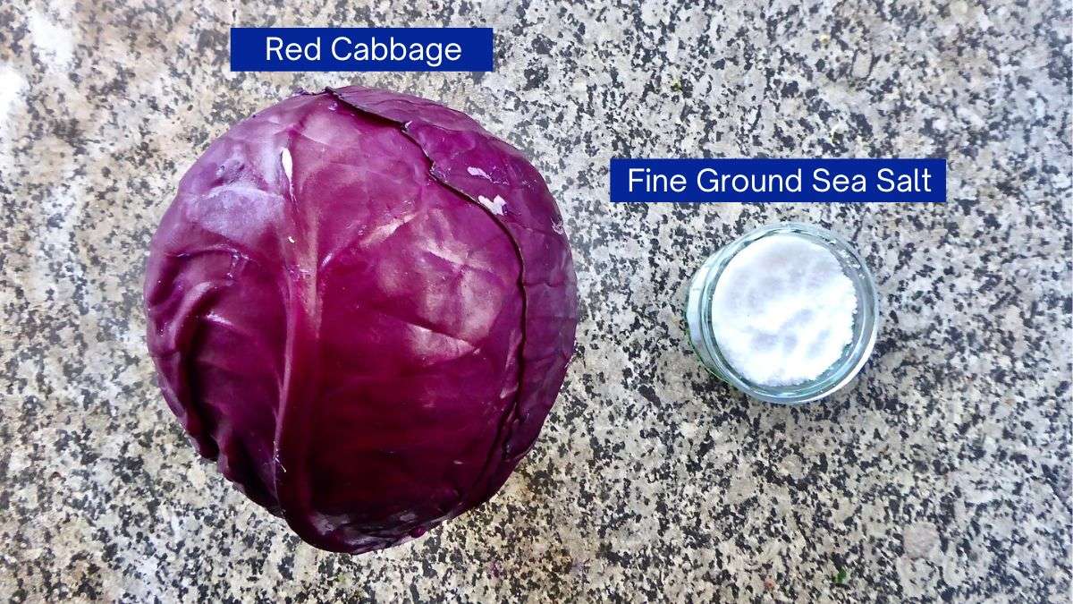 ingredients needed - red cabbage and fine ground sea salt