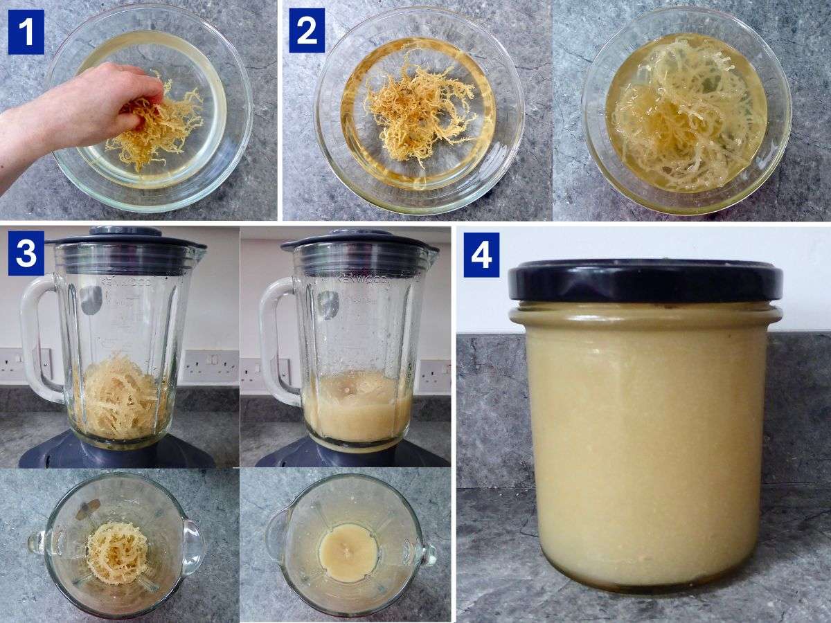 step by step instructions for making sea moss gel